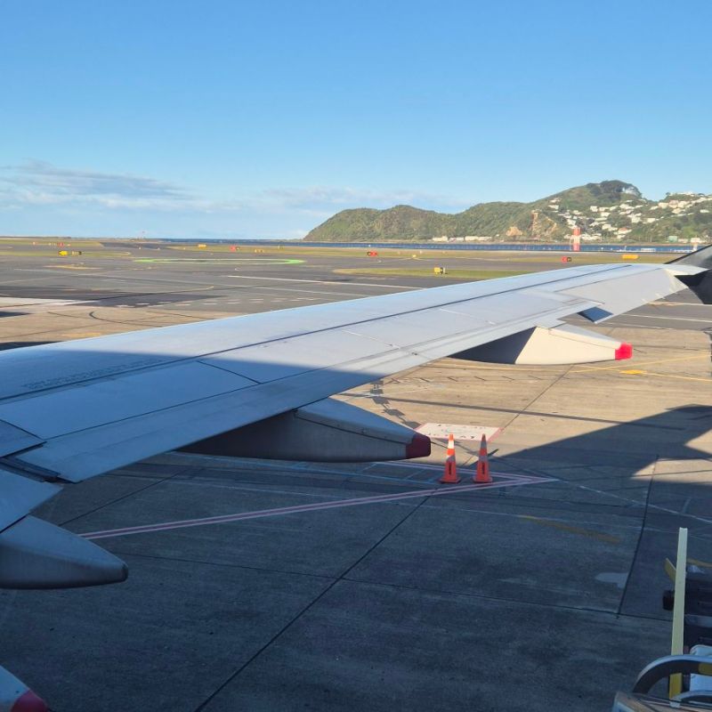 (Another) home bound!