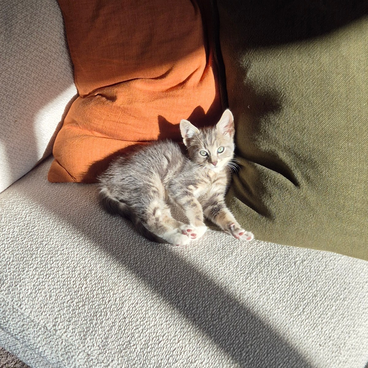 Året börjar gå mot sitt&nbsp;slut